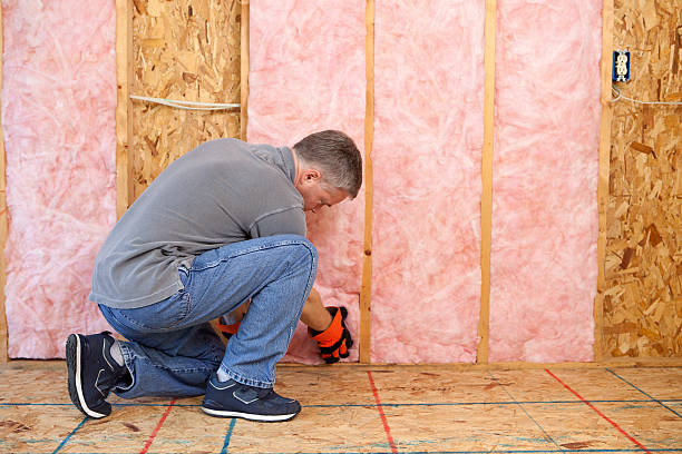 Best Residential Insulation in Bangor, WI